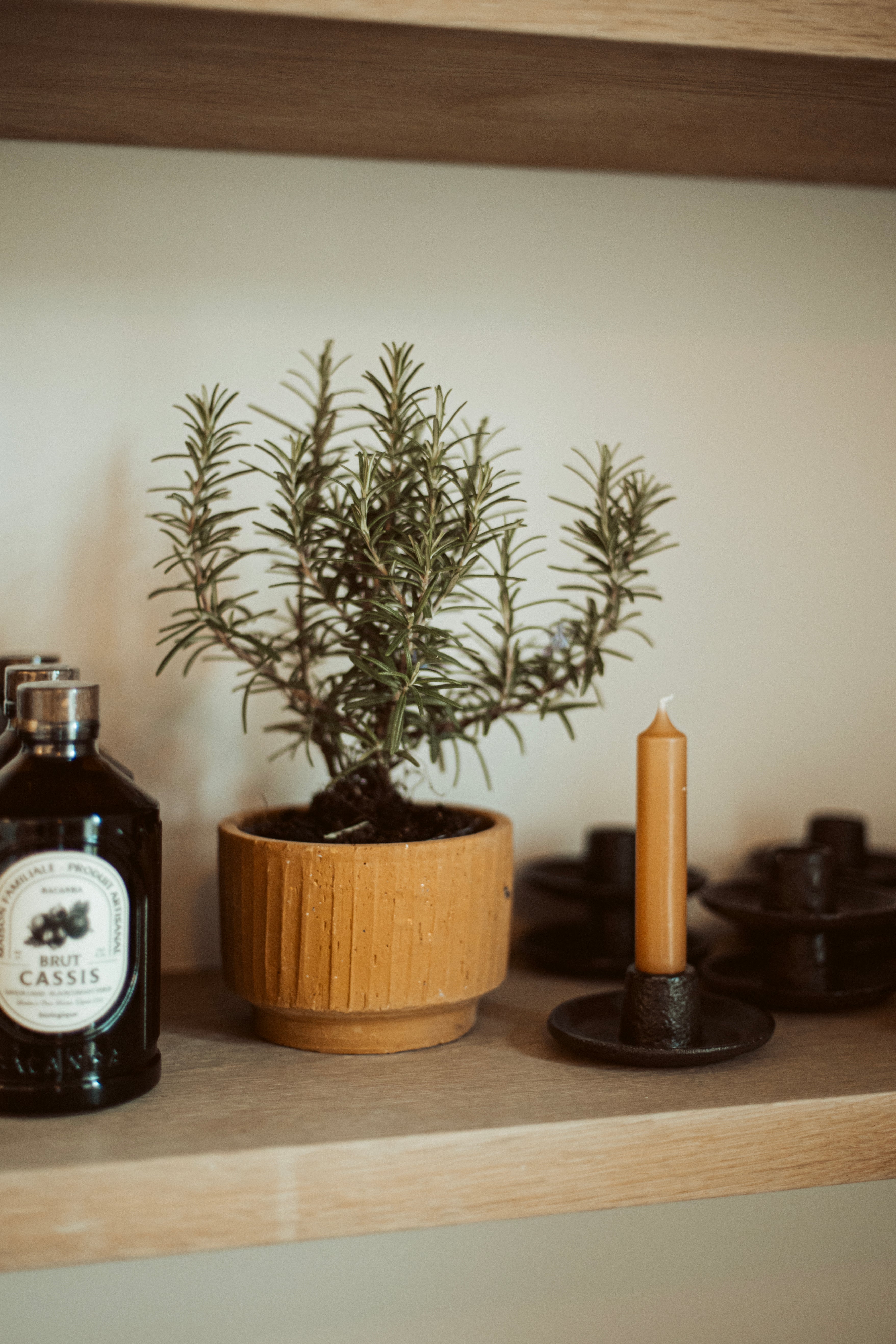 flowerpot small/ribble