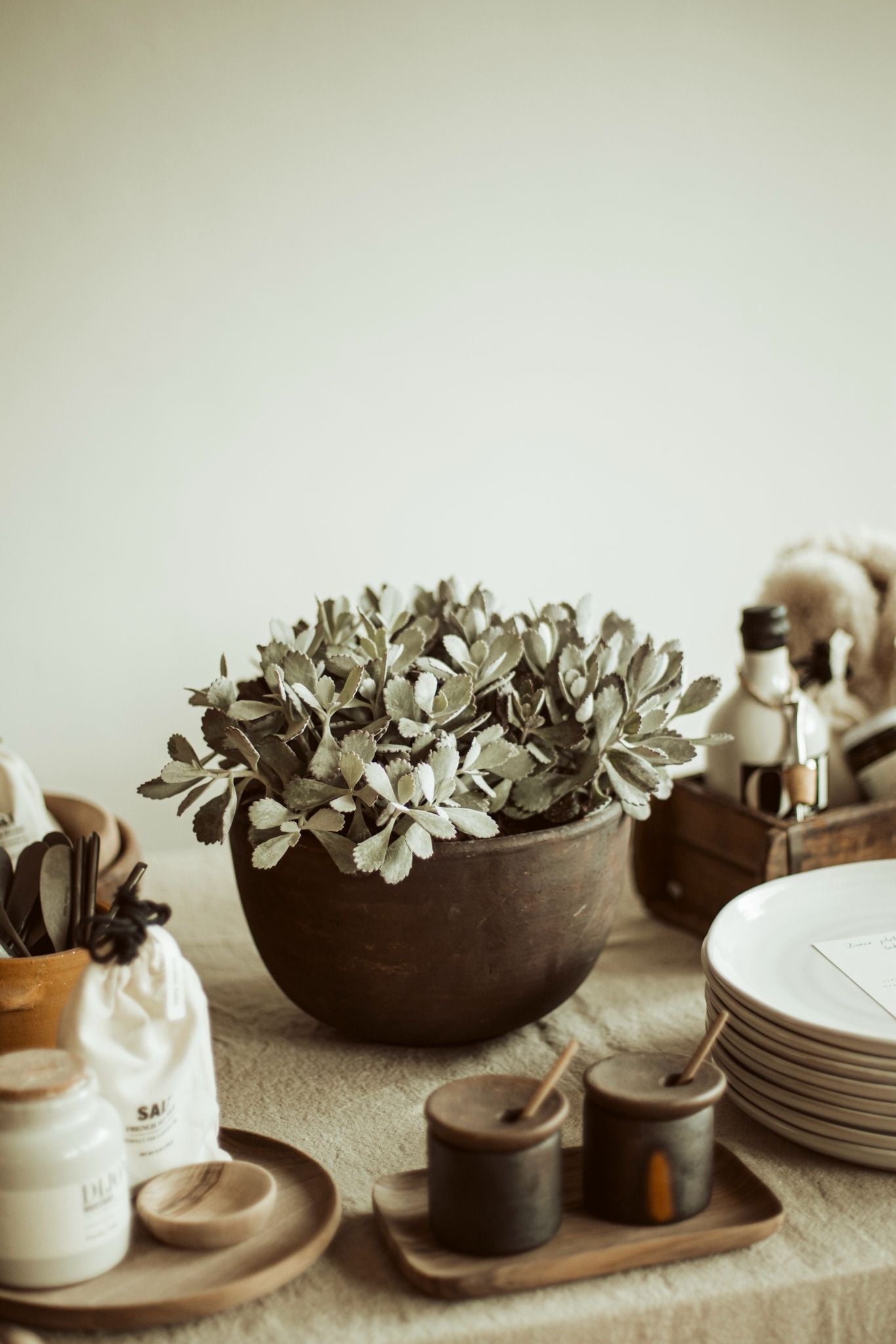 flower pot - brown/black terracotta