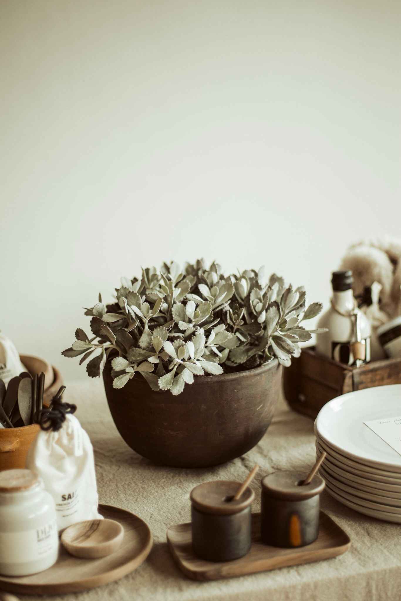 flower pot - brown/black terracotta met plant