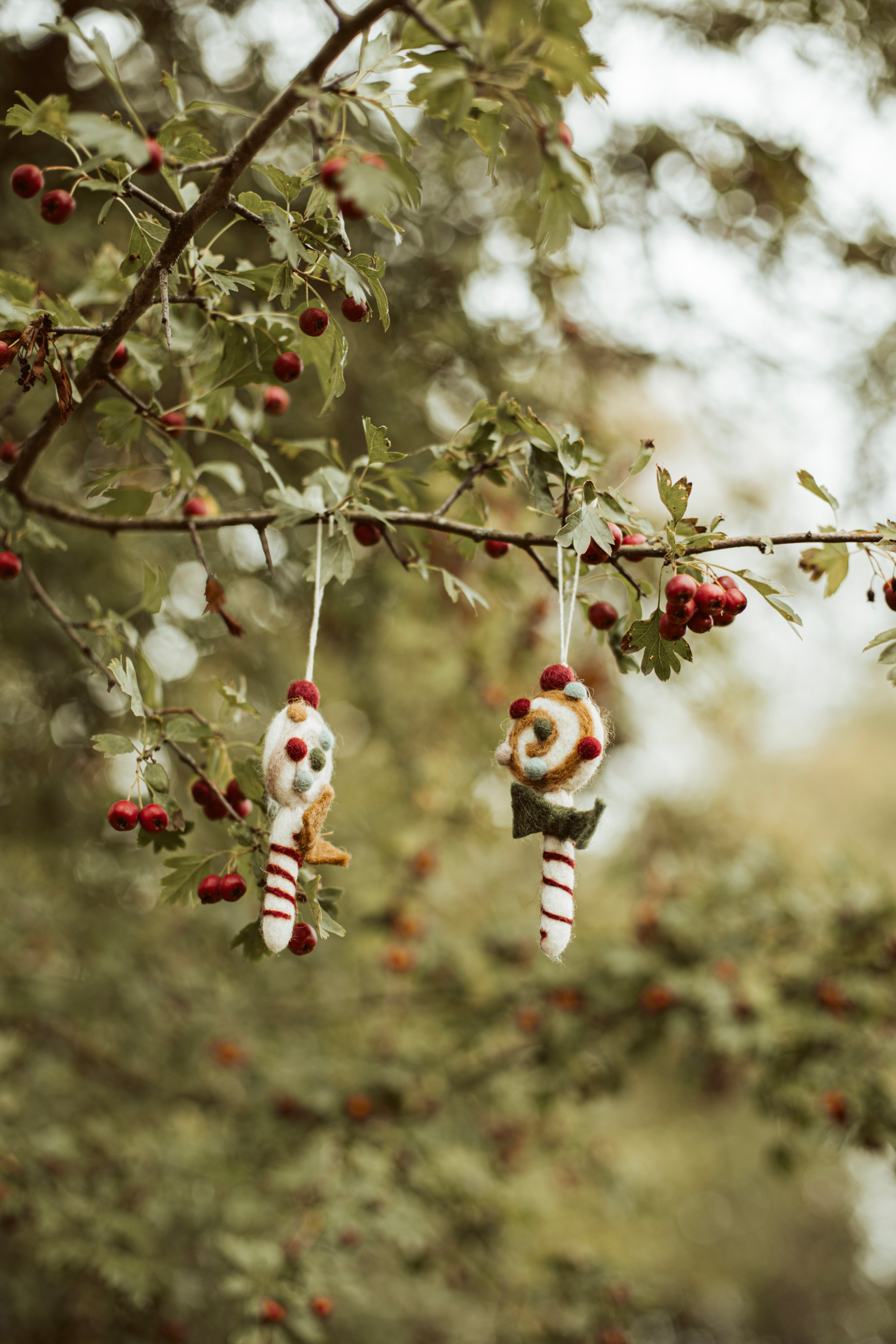 christmas candy vilt