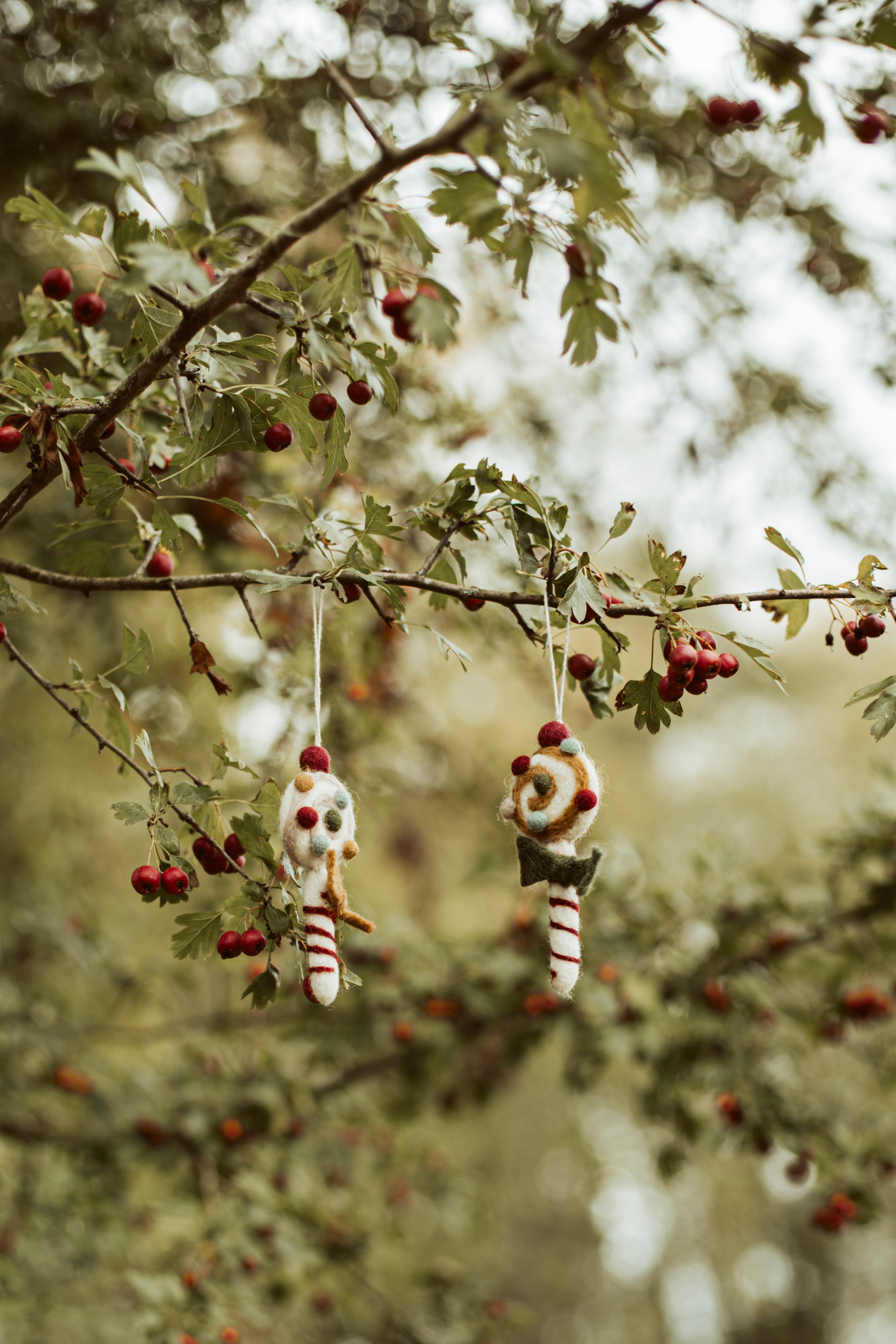 christmas candy vilt