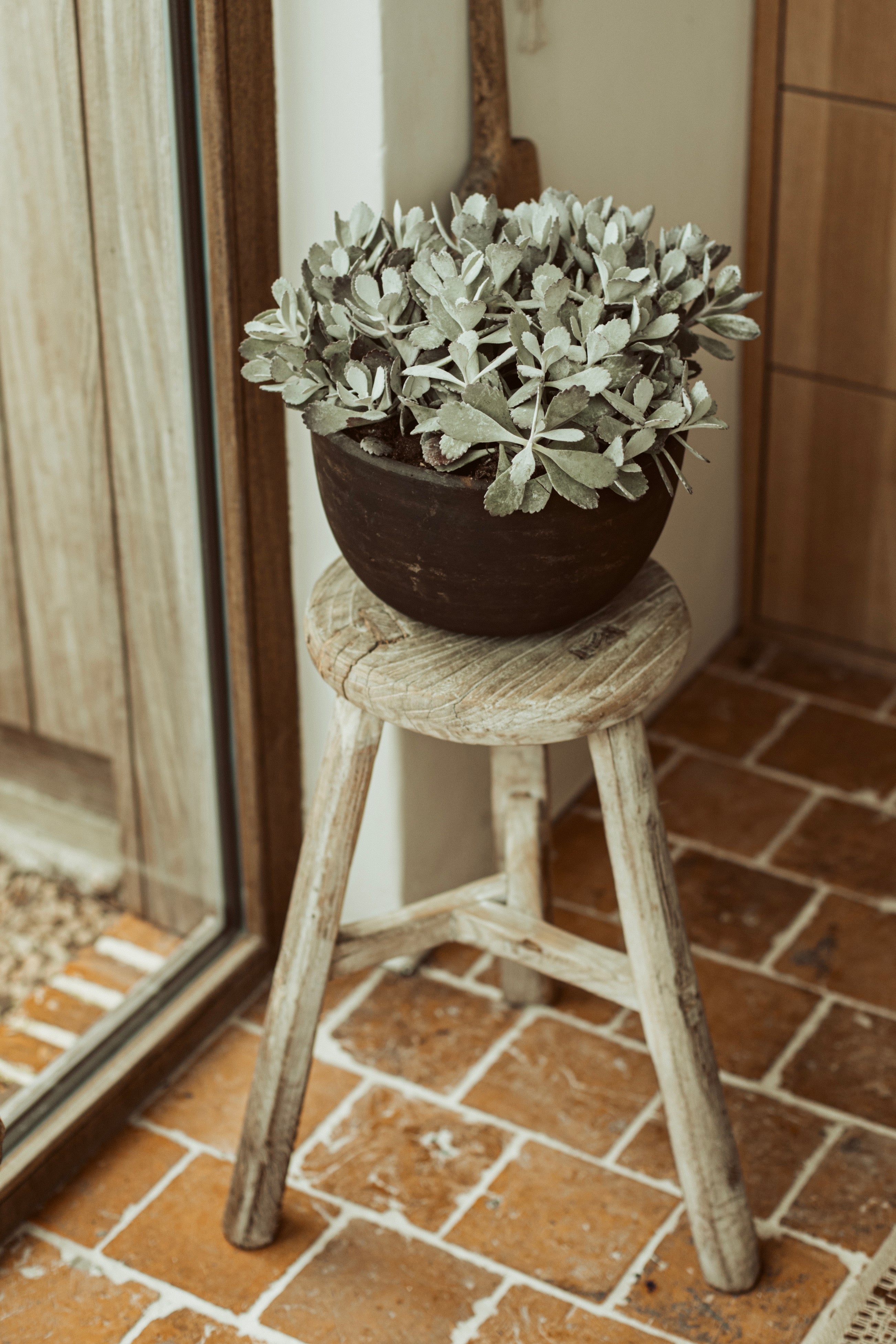 flower pot - brown/black terracotta