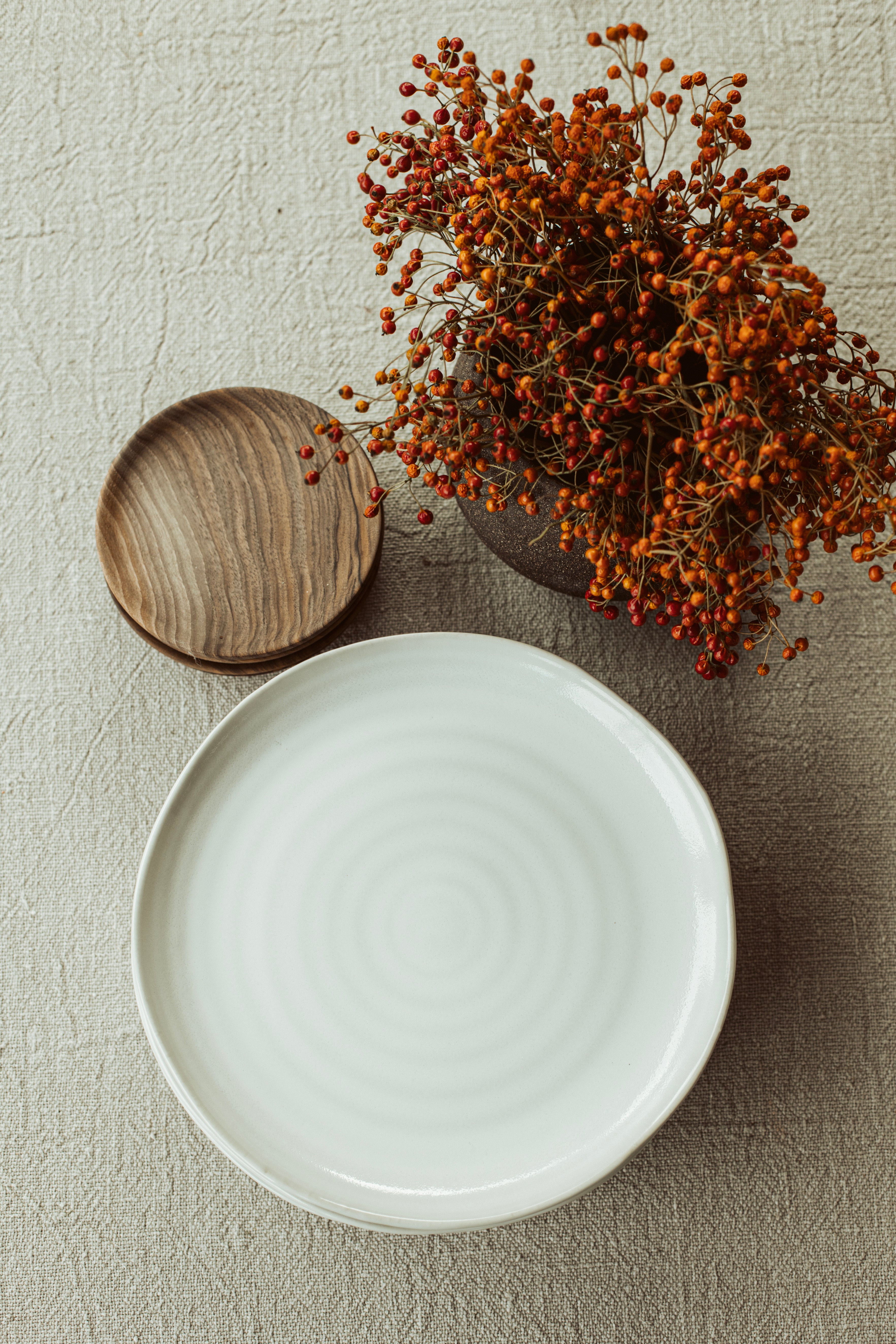 dinner plate wit - Scapa Home - set van 6