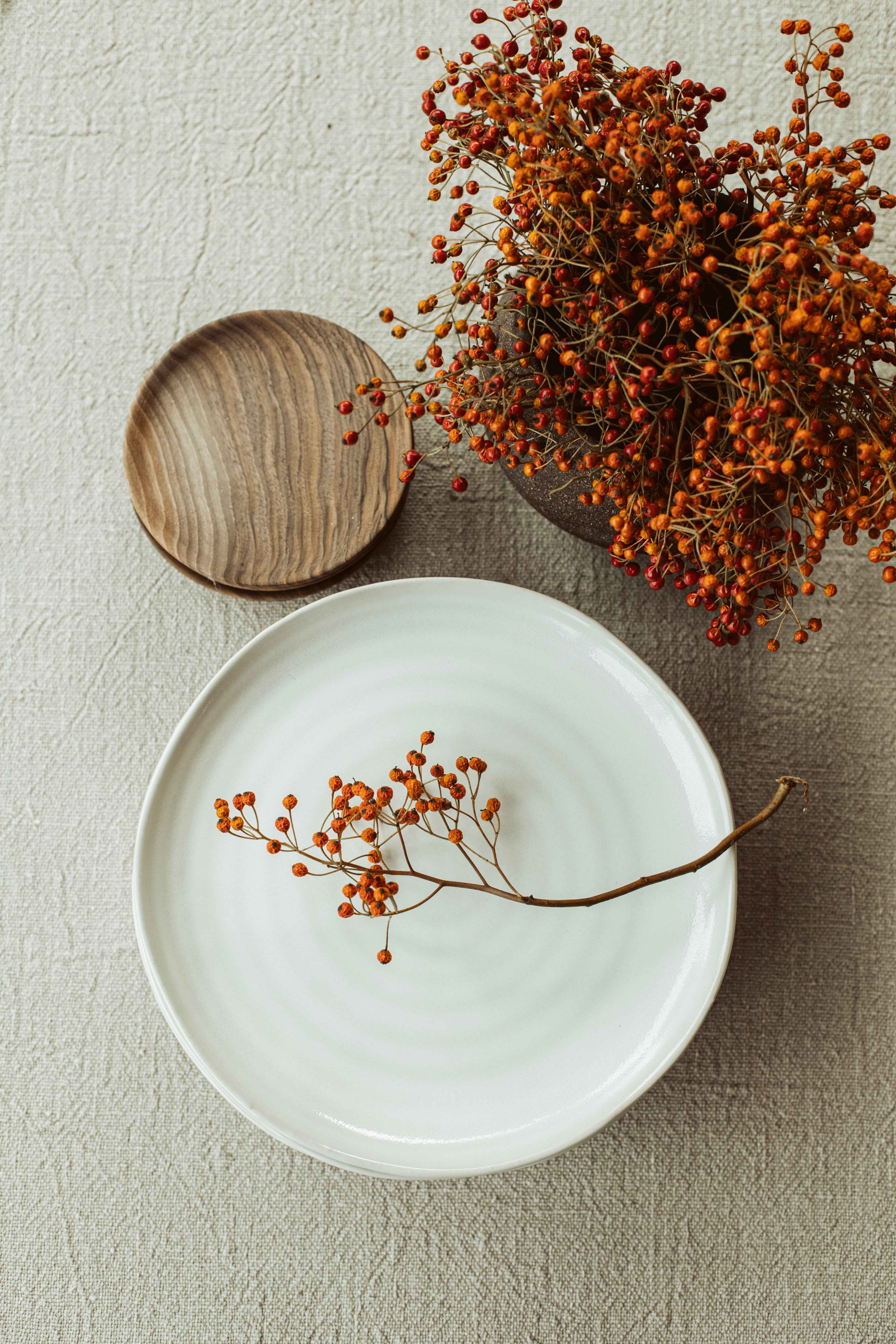 dinner plate wit - Scapa Home - promoset 5+1