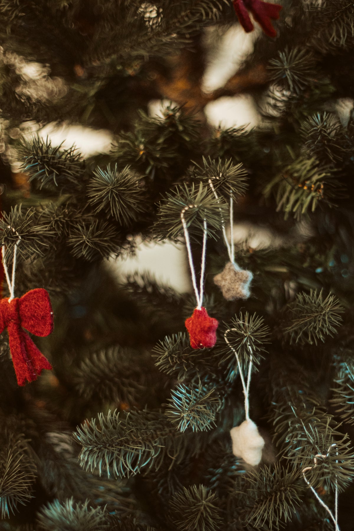 mini coeurs en feutre