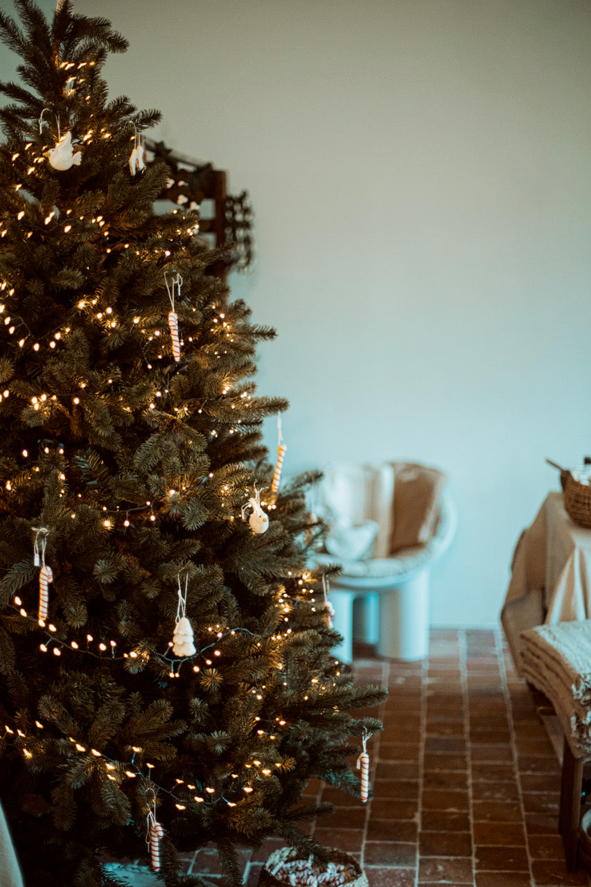 CHRISTMAS DAYS '24