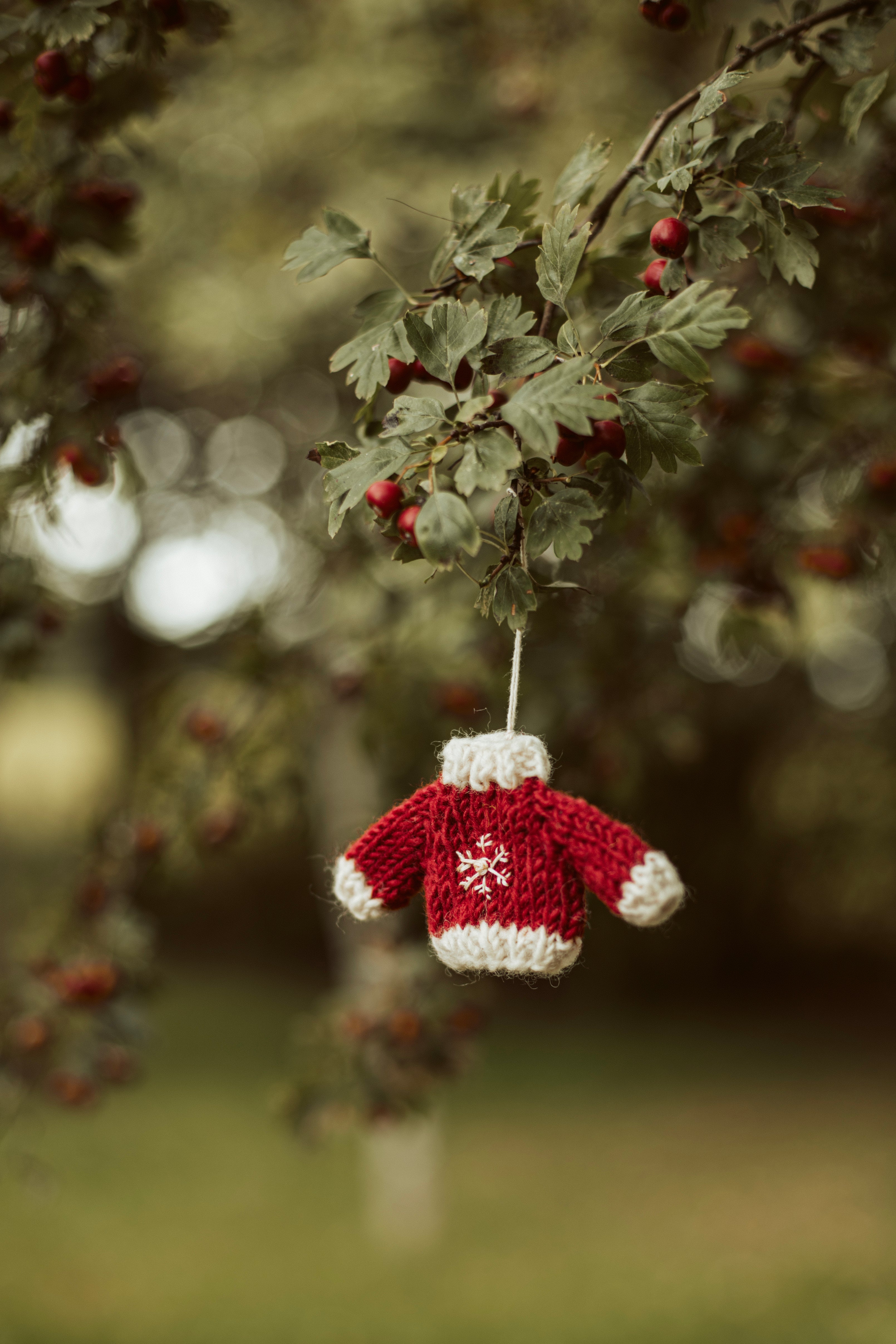 knitted sweater